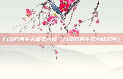 自动挡汽车大概多少钱(自动挡汽车多少钱起步)