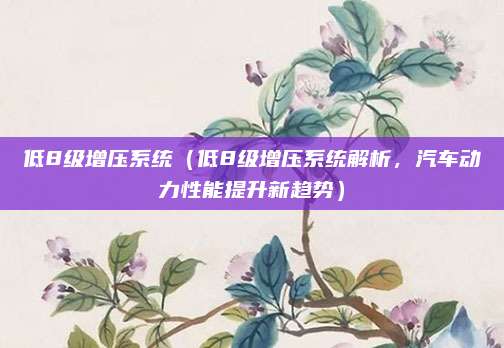 低8级增压系统（低8级增压系统解析，汽车动力性能提升新趋势）