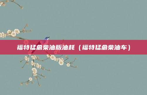 福特猛禽柴油版油耗(福特猛禽柴油车)