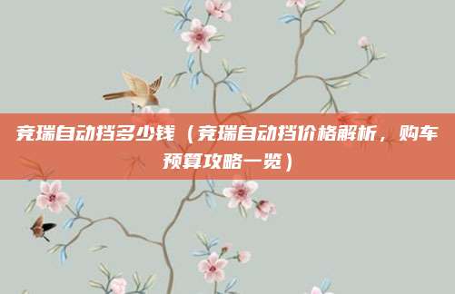 竞瑞自动挡多少钱（竞瑞自动挡价格解析，购车预算攻略一览）