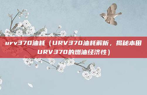 urv370油耗（URV370油耗解析，揭秘本田URV370的燃油经济性）
