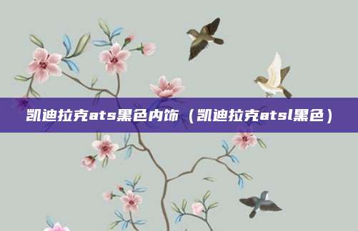 凯迪拉克ats黑色内饰（凯迪拉克atsl黑色）