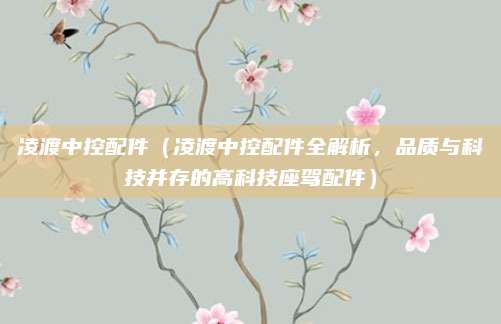 凌渡中控配件（凌渡中控配件全解析，品质与科技并存的高科技座驾配件）