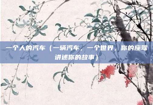 一个人的汽车（一辆汽车，一个世界，你的座驾讲述你的故事）