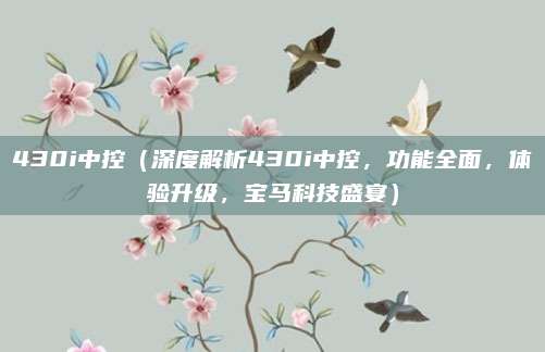 430i中控（深度解析430i中控，功能全面，体验升级，宝马科技盛宴）