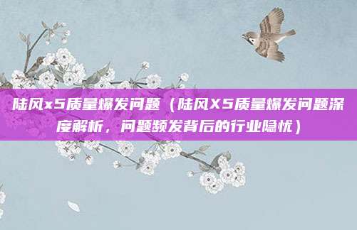 陆风x5质量爆发问题（陆风X5质量爆发问题深度解析，问题频发背后的行业隐忧）