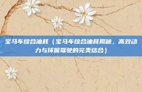 宝马车综合油耗（宝马车综合油耗揭秘，高效动力与环保驾驶的完美结合）