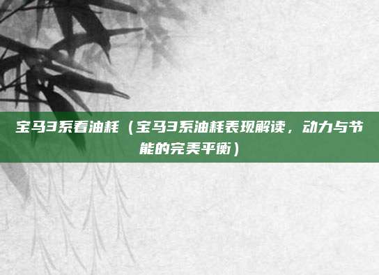 宝马3系看油耗（宝马3系油耗表现解读，动力与节能的完美平衡）