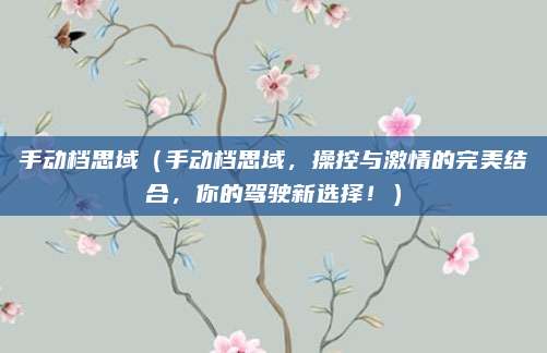 手动档思域（手动档思域，操控与激情的完美结合，你的驾驶新选择！）
