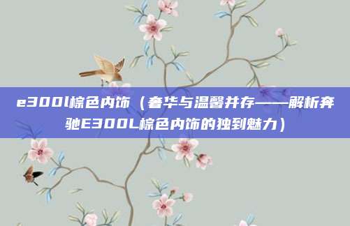 e300l棕色内饰（奢华与温馨并存——解析奔驰E300L棕色内饰的独到魅力）