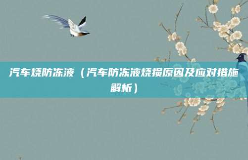 汽车烧防冻液（汽车防冻液烧损原因及应对措施解析）