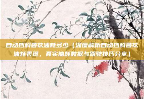 自动挡科鲁兹油耗多少（深度解析自动挡科鲁兹油耗表现，真实油耗数据与驾驶技巧分享）