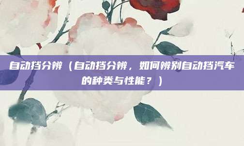 自动挡分辨（自动挡分辨，如何辨别自动挡汽车的种类与性能？）