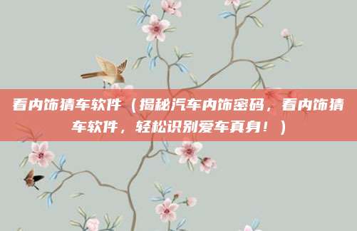 看内饰猜车软件（揭秘汽车内饰密码，看内饰猜车软件，轻松识别爱车真身！）