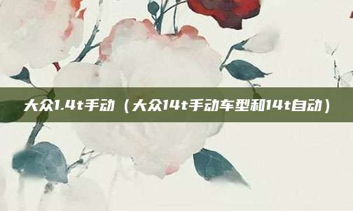大众1.4t手动(大众14t手动车型和14t自动)