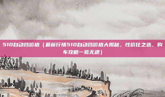 510自动挡价格（最新行情510自动挡价格大揭秘，性价比之选，购车攻略一览无遗）
