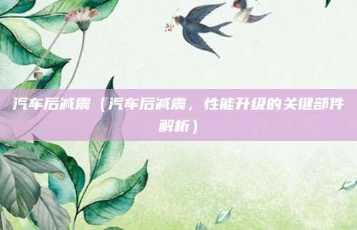 汽车后减震（汽车后减震，性能升级的关键部件解析）