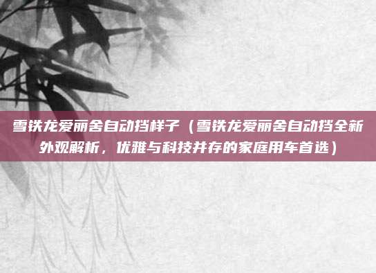 雪铁龙爱丽舍自动挡样子（雪铁龙爱丽舍自动挡全新外观解析，优雅与科技并存的家庭用车首选）