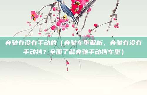 奔驰有没有手动的（奔驰车型解析，奔驰有没有手动挡？全面了解奔驰手动挡车型）