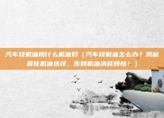 汽车烧机油用什么机油好（汽车烧机油怎么办？揭秘最佳机油选择，告别机油消耗烦恼！）