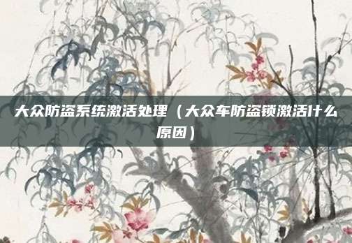 大众防盗系统激活处理(大众车防盗锁激活什么原因)