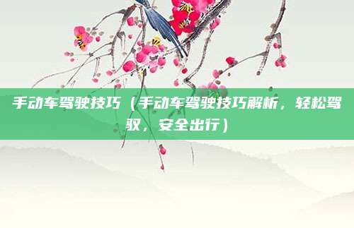 手动车驾驶技巧(手动车驾驶技巧解析,轻松驾驭,安全出行)