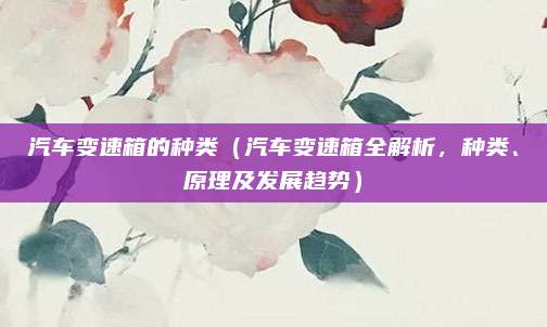 汽车变速箱的种类（汽车变速箱全解析，种类、原理及发展趋势）