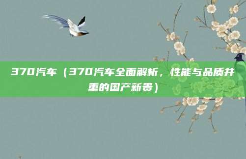 370汽车(370汽车全面解析,性能与品质并重的国产新贵)
