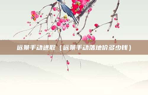 远景手动进取(远景手动落地价多少钱)