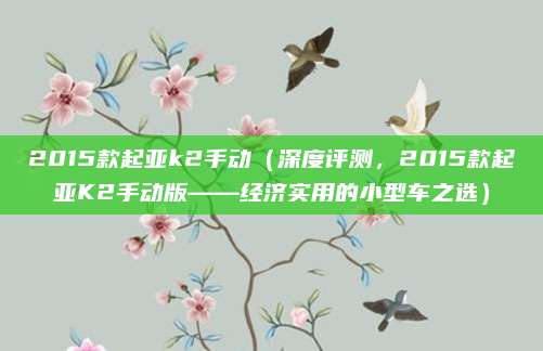 2015款起亚k2手动(深度评测,2015款起亚K2手动版——经济实用的小型车之选)