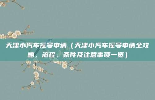 天津小汽车摇号申请(天津小汽车摇号申请全攻略,流程、条件及注意事项一览)