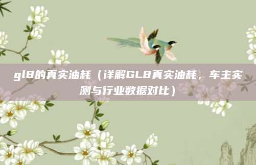 gl8的真实油耗(详解GL8真实油耗,车主实测与行业数据对比)