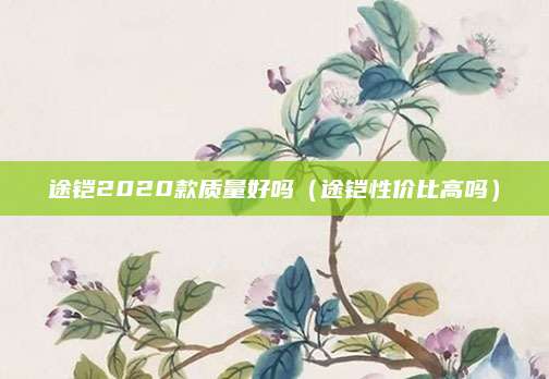 途铠2020款质量好吗(途铠性价比高吗)
