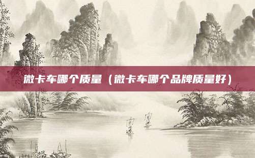 微卡车哪个质量(微卡车哪个品牌质量好)