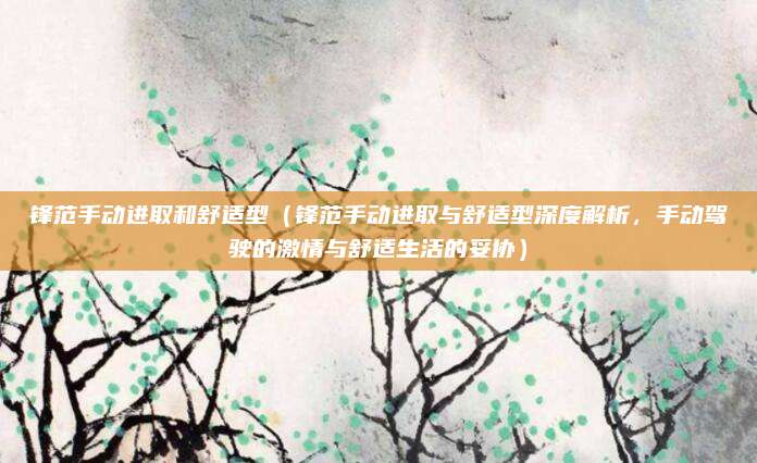 锋范手动进取和舒适型（锋范手动进取与舒适型深度解析，手动驾驶的激情与舒适生活的妥协）