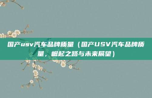 国产usv汽车品牌质量（国产USV汽车品牌质量，崛起之路与未来展望）