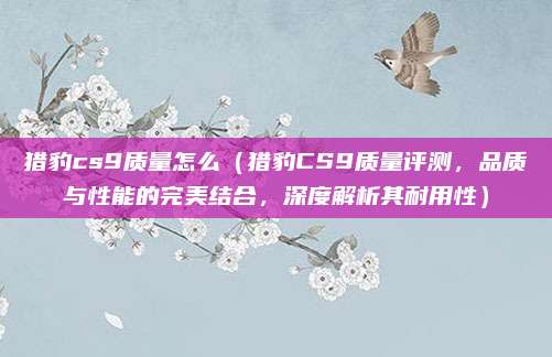 猎豹cs9质量怎么（猎豹CS9质量评测，品质与性能的完美结合，深度解析其耐用性）