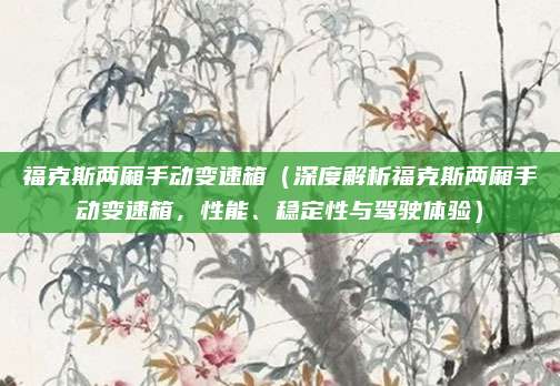 福克斯两厢手动变速箱（深度解析福克斯两厢手动变速箱，性能、稳定性与驾驶体验）