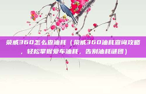 荣威360怎么查油耗（荣威360油耗查询攻略，轻松掌握爱车油耗，告别油耗谜团）