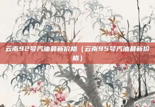 云南92号汽油最新价格(云南95号汽油最新价格)