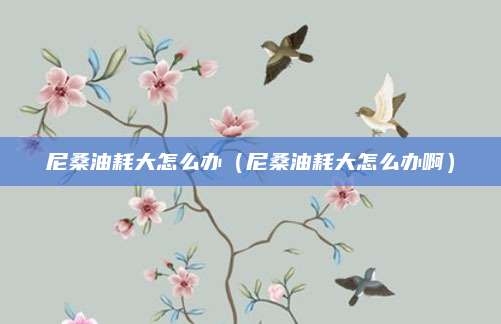 尼桑油耗大怎么办(尼桑油耗大怎么办啊)
