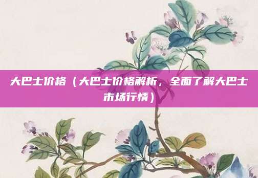 大巴士价格(大巴士价格解析,全面了解大巴士市场行情)