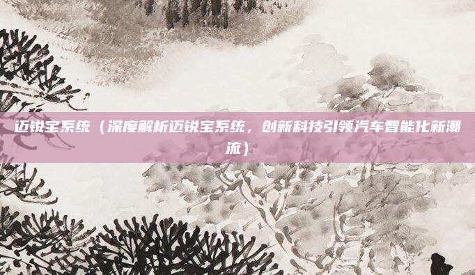 迈锐宝系统(深度解析迈锐宝系统,创新科技引领汽车智能化新潮流)