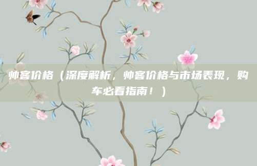 帅客价格(深度解析,帅客价格与市场表现,购车必看指南!)
