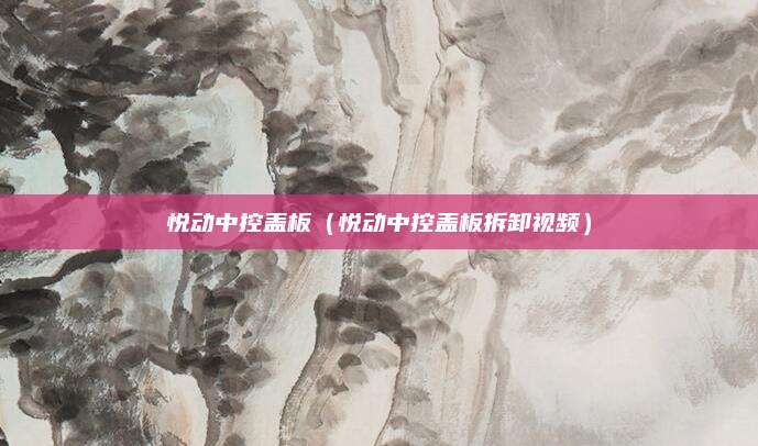 悦动中控盖板(悦动中控盖板拆卸视频)