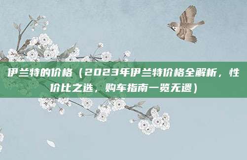 伊兰特的价格(2023年伊兰特价格全解析,性价比之选,购车指南一览无遗)