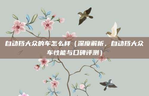 自动挡大众的车怎么样（深度解析，自动挡大众车性能与口碑评测）