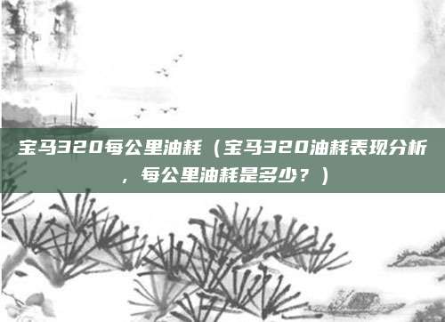 宝马320每公里油耗（宝马320油耗表现分析，每公里油耗是多少？）