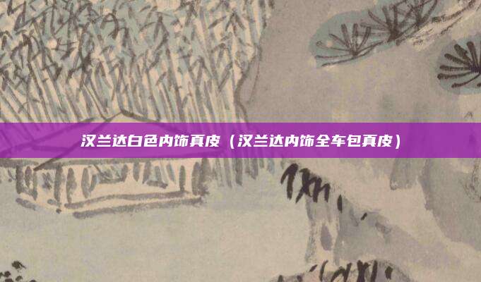汉兰达白色内饰真皮(汉兰达内饰全车包真皮)