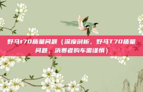 野马t70质量问题（深度剖析，野马T70质量问题，消费者购车需谨慎）